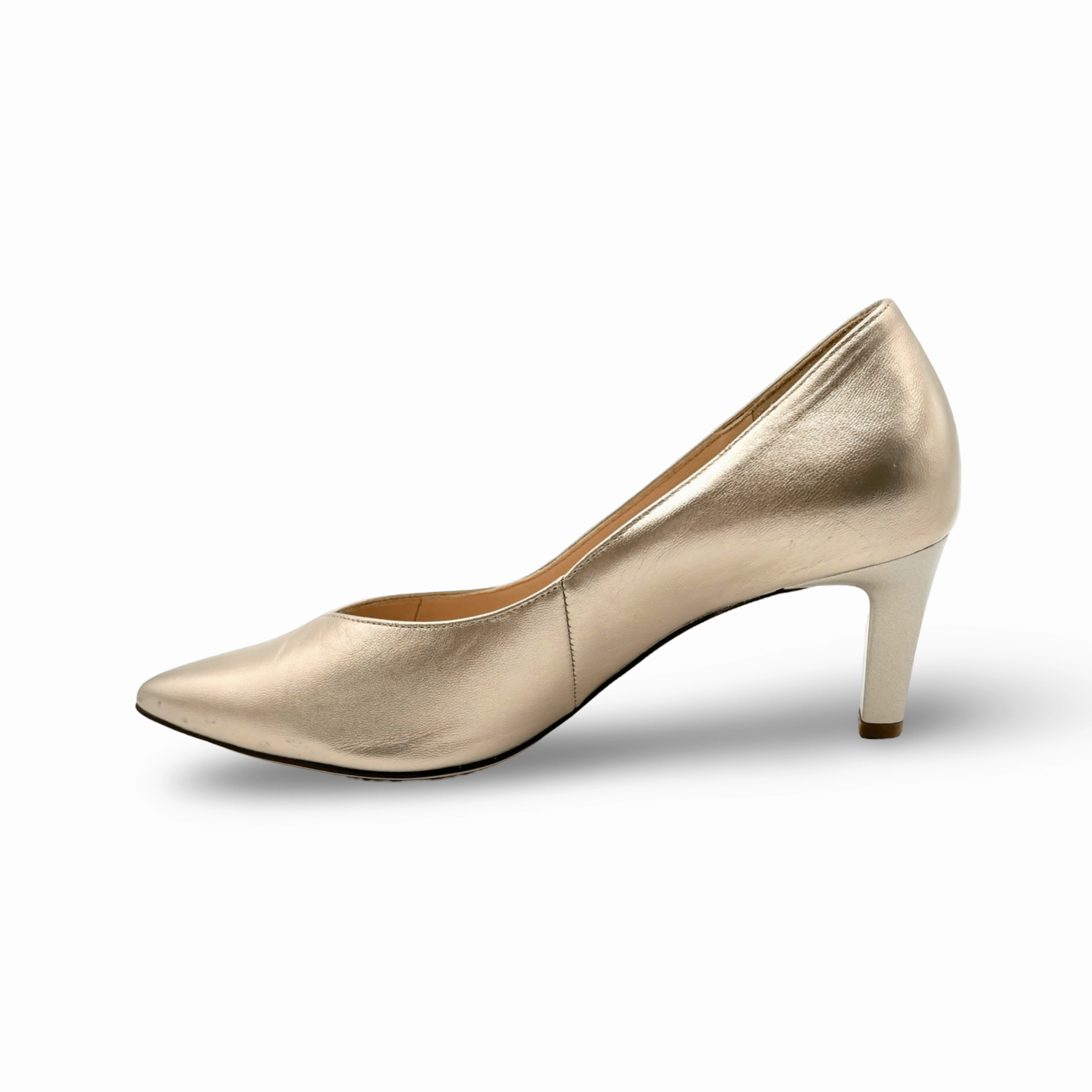 176701 Gold Boulevard 60 Pump