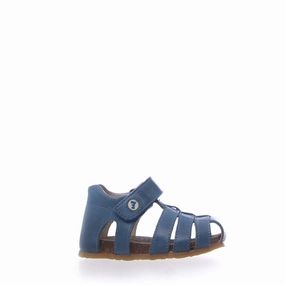 Alby by Falcotto - Azure||Alby par Falcotto - Azure