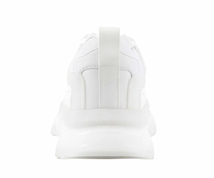 Arctic White