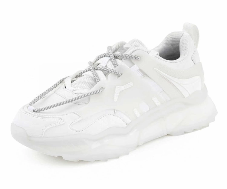 Arctic White