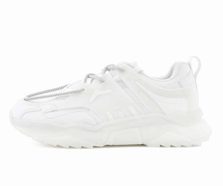 Arctic White