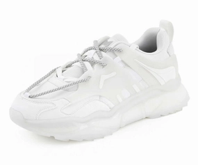 Arctic White