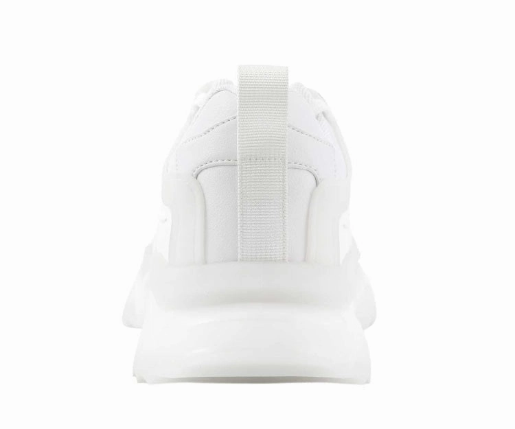 Arctic White