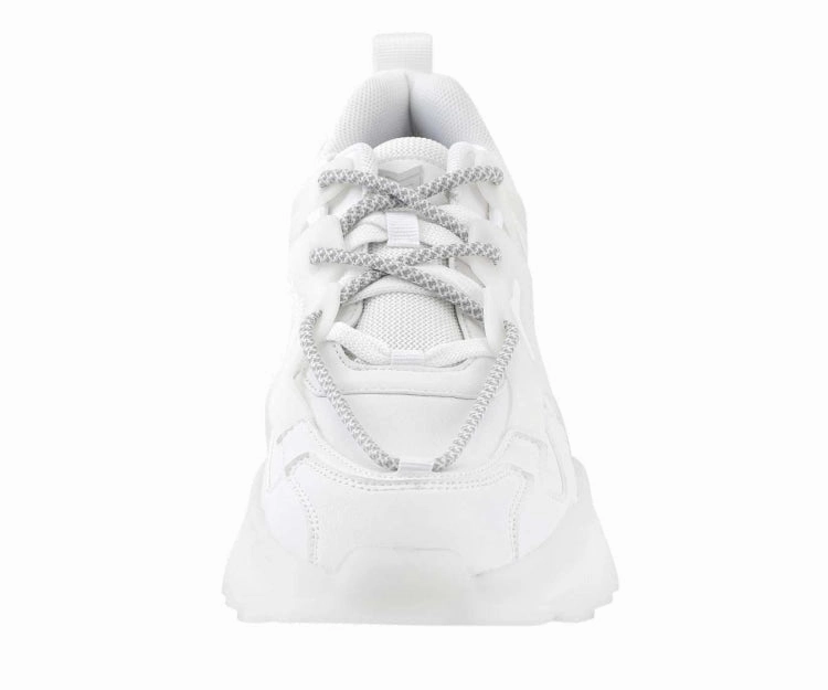 Arctic White