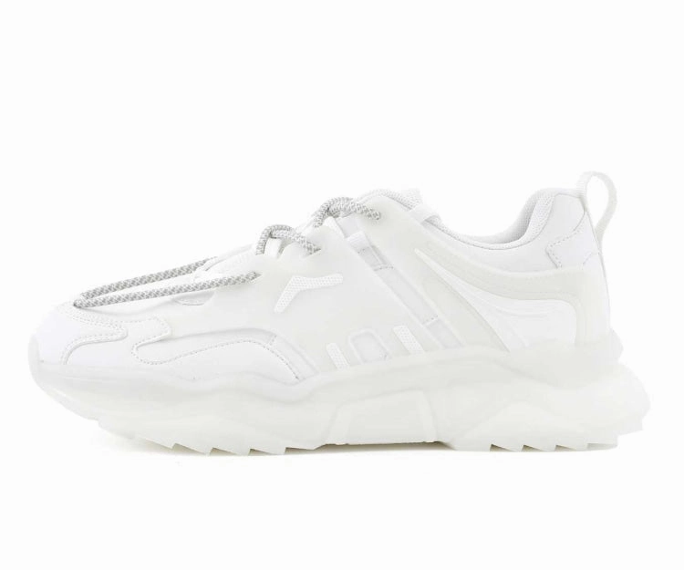 Arctic White
