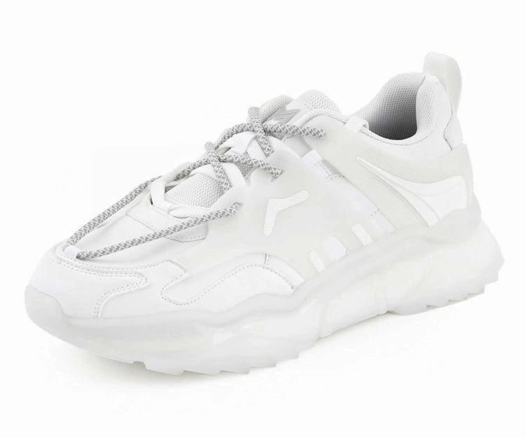 Arctic White