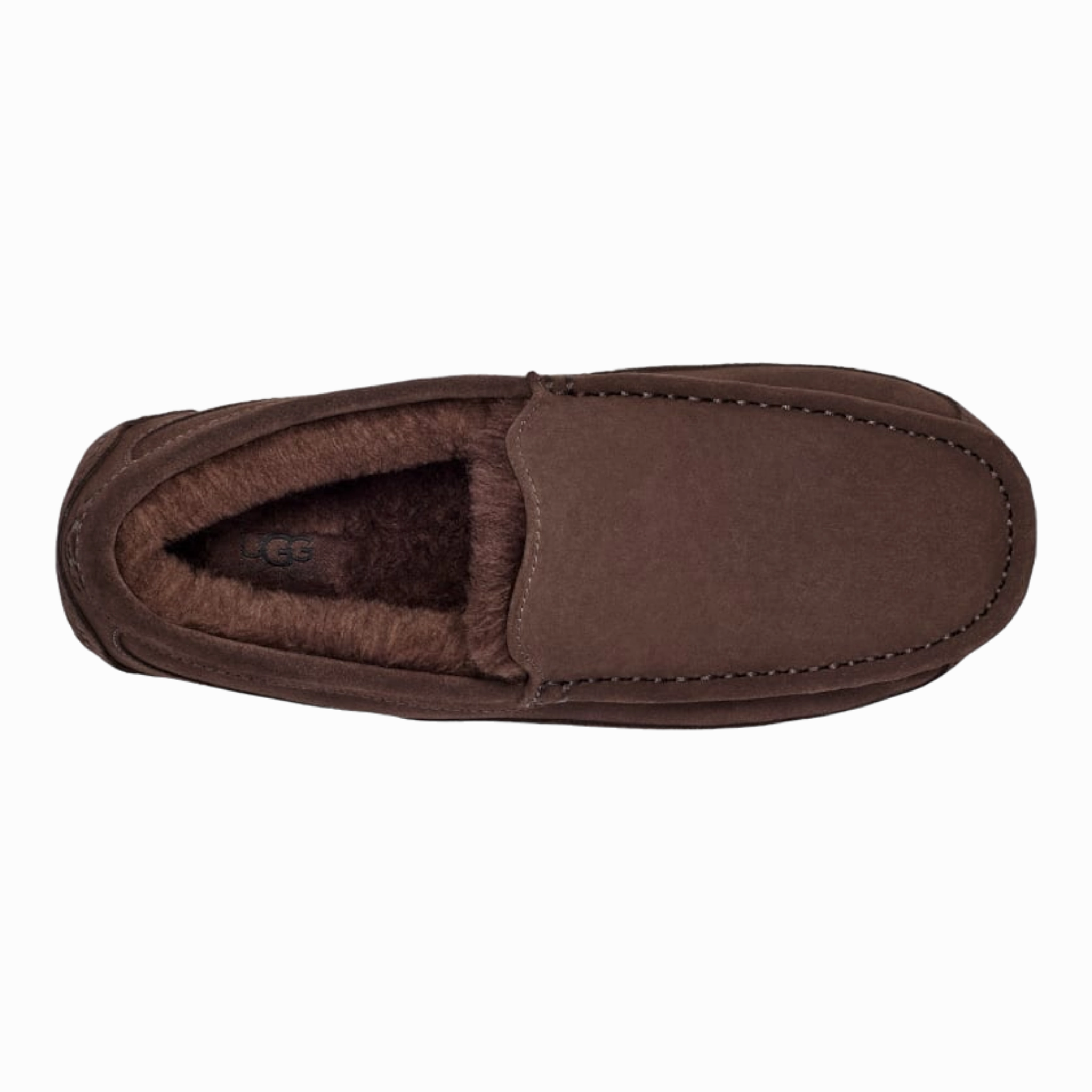 Ascot Slipper
