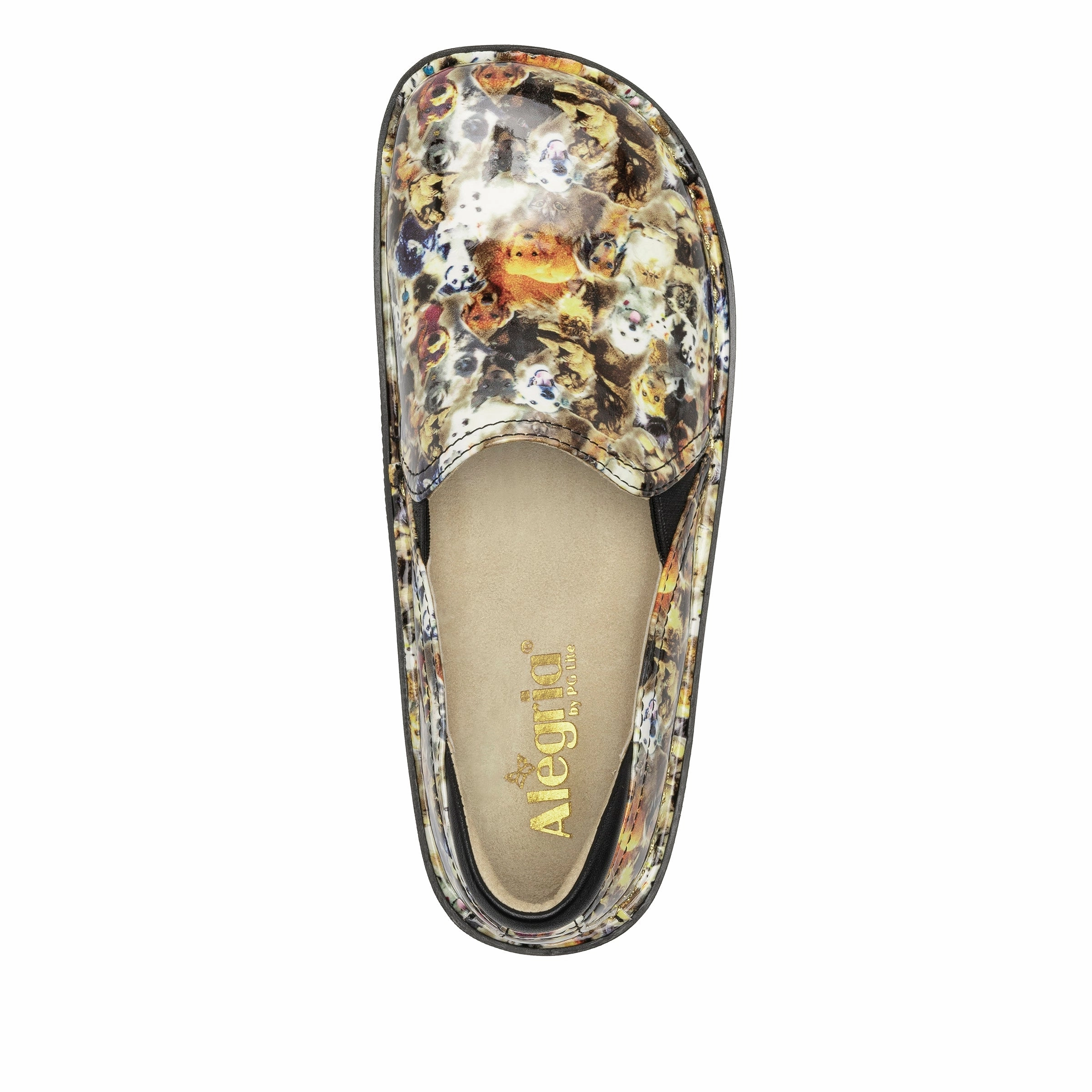 Debra Paws Up Shoe