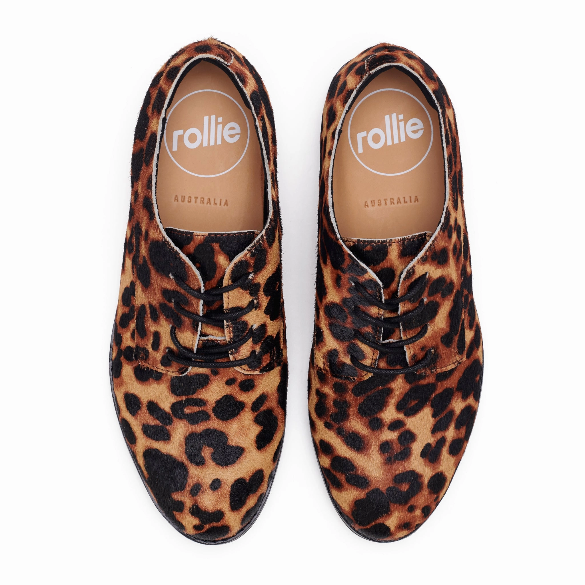 Derby Dark Camel Leopard/Black