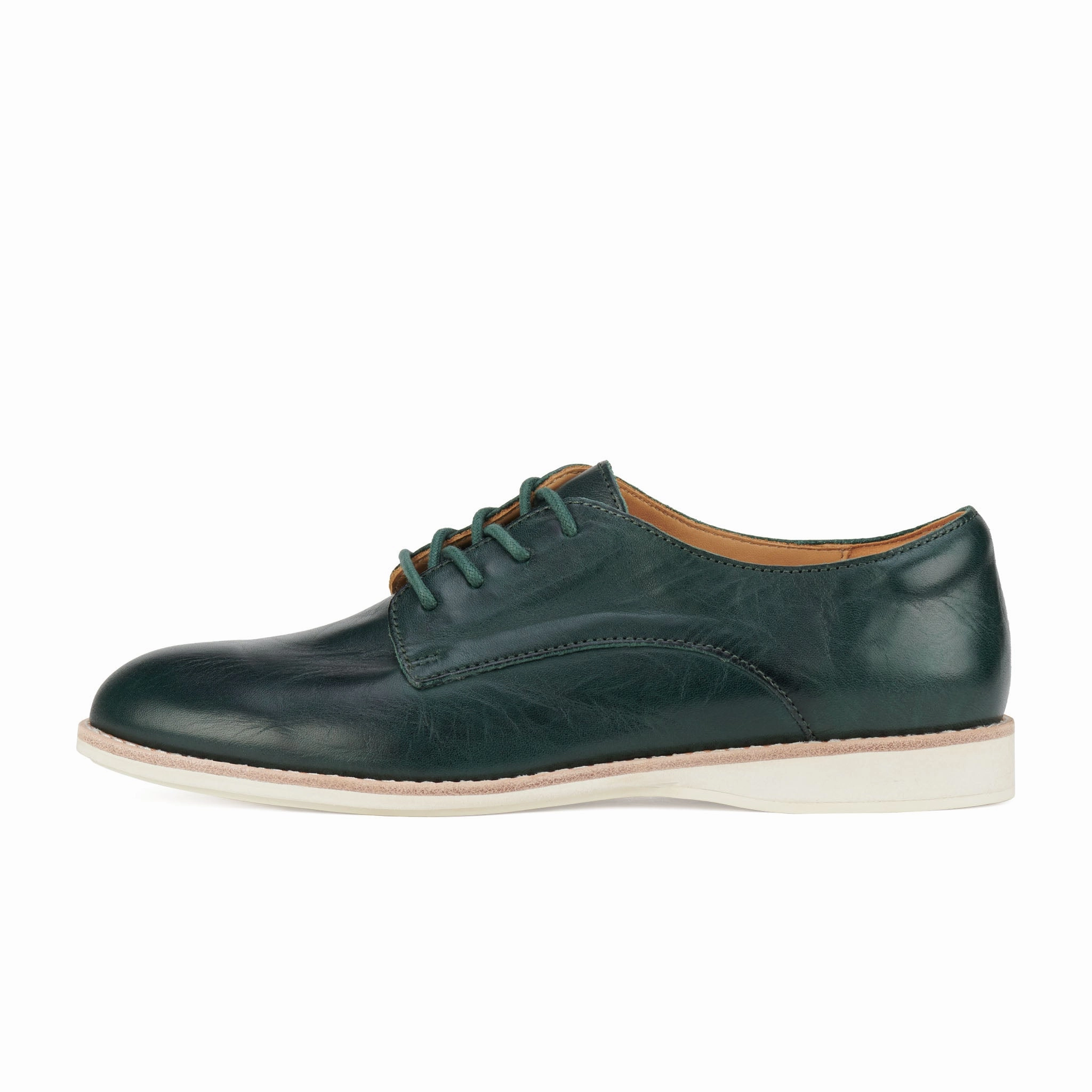 Derby Vintage Dark Forest