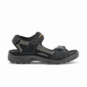 Ecco Men's Yucatan Sandal - Black/Mole/Black