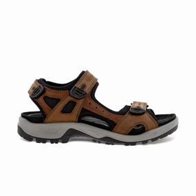 Ecco Men's Yucatan Sandal - Espresso/Cocoa Brown/Black