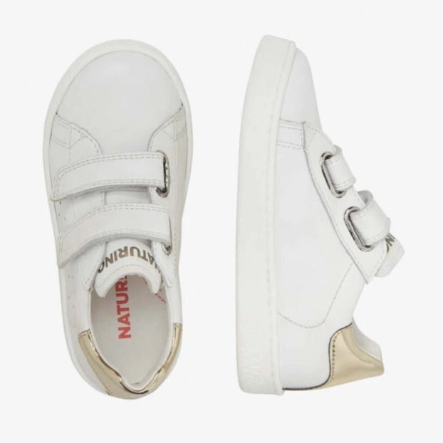 Hasselt II VL - White-Platinum||Hasselt II VL - Blanc, dor