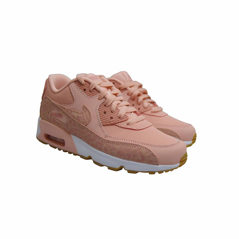Juniors Air Max 90 SE Leather (GS)