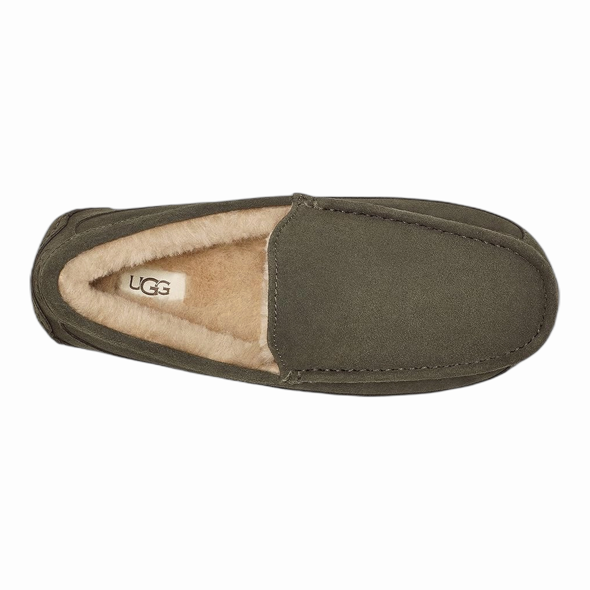 Men's Ascot Slipper