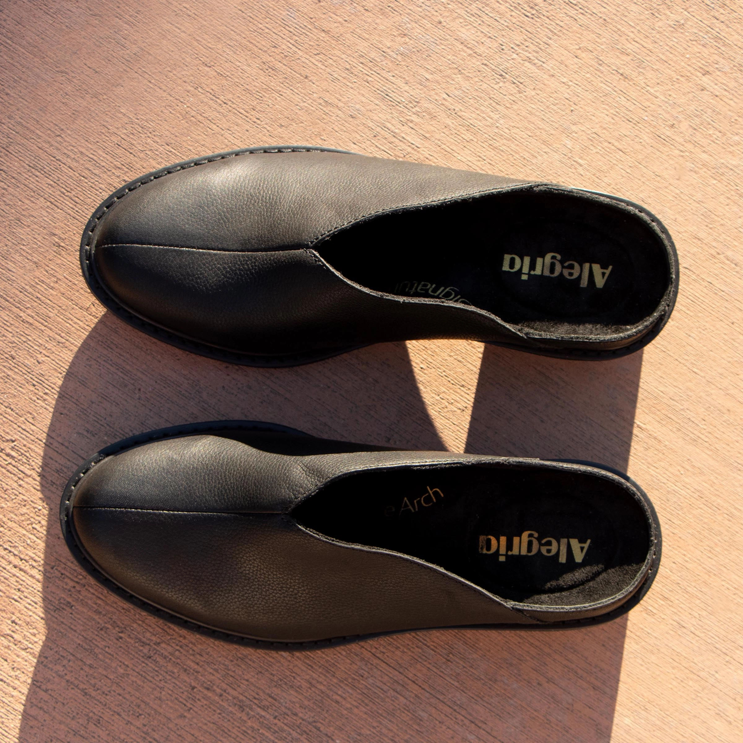 Michy Black Bird Shoe